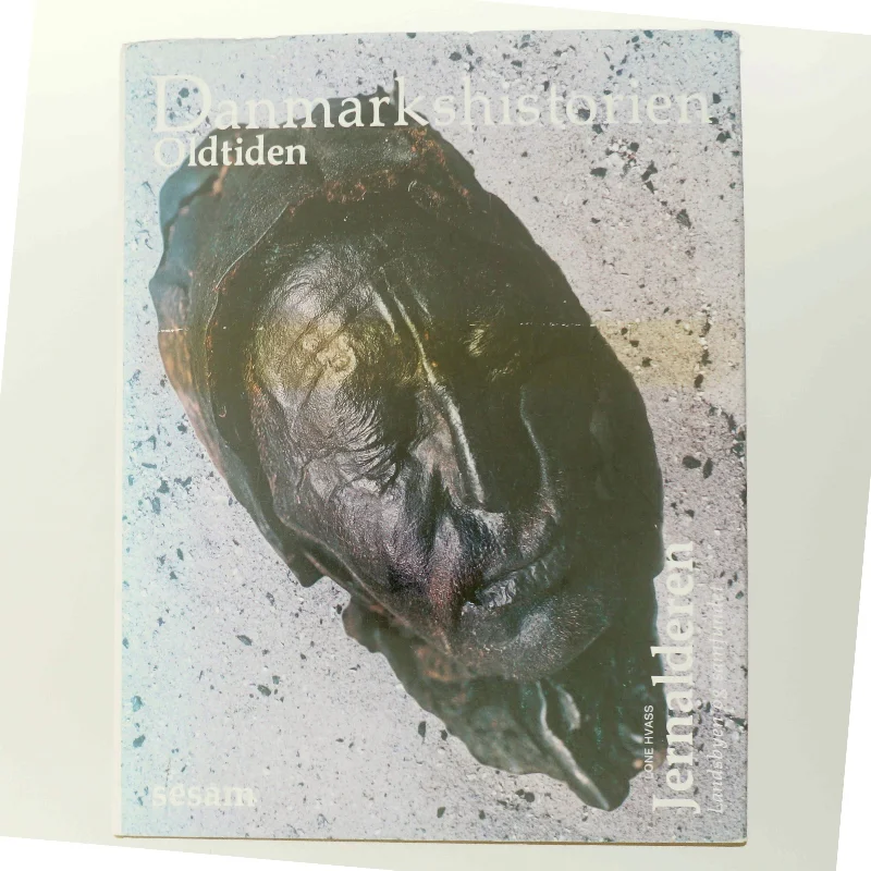Historiebog om Danmarks oldtid fra Sesam