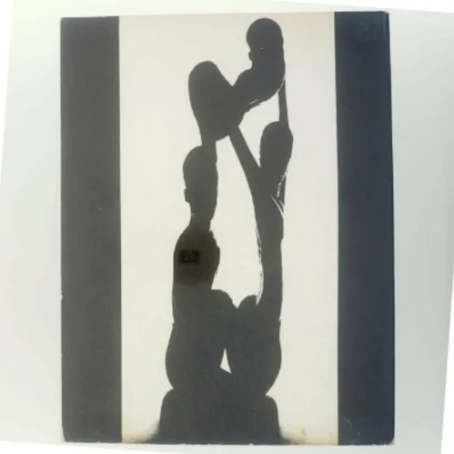 Bog om moderne Makonde skulptur