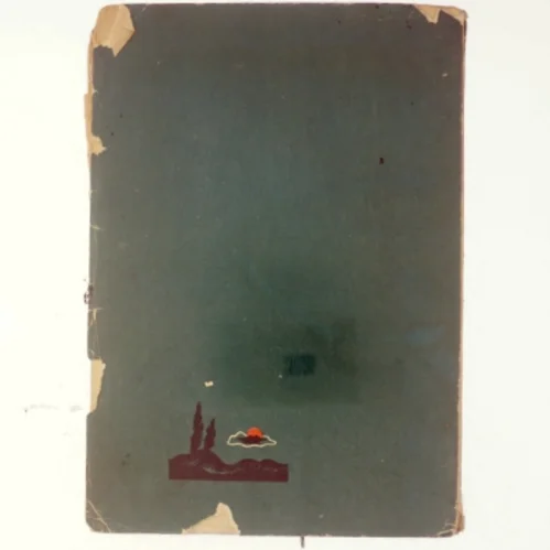 Irving Stone, Van Gogh