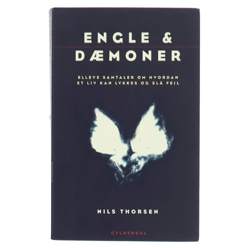 Engle & dæmoner : elleve samtaler om hvordan et liv kan lykkes og slå fejl af Nils Thorsen (Bog)