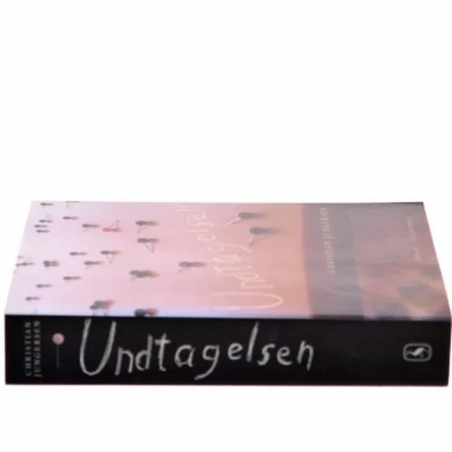 Undtagelsen af Christian Jungersen (Bog)