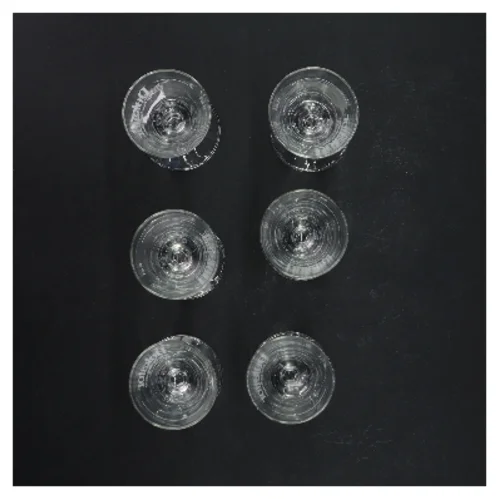 Sæt med seks glas (str. Ø 5x h 9 cm)