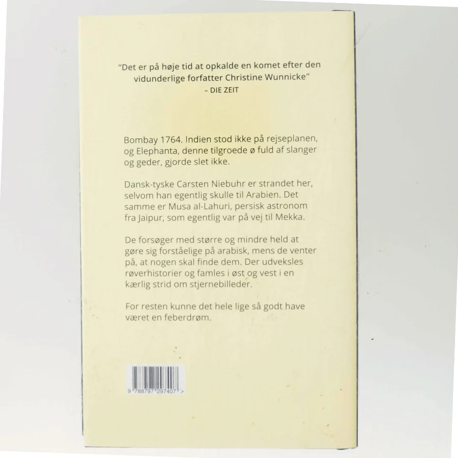 Damen med den bemalede hånd : roman af Christine Wunnicke (Bog)