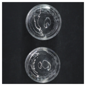 Gennemsigtige glasvaser med snefnugmønster (str. 7,5 cm, ø 6,5 cm)