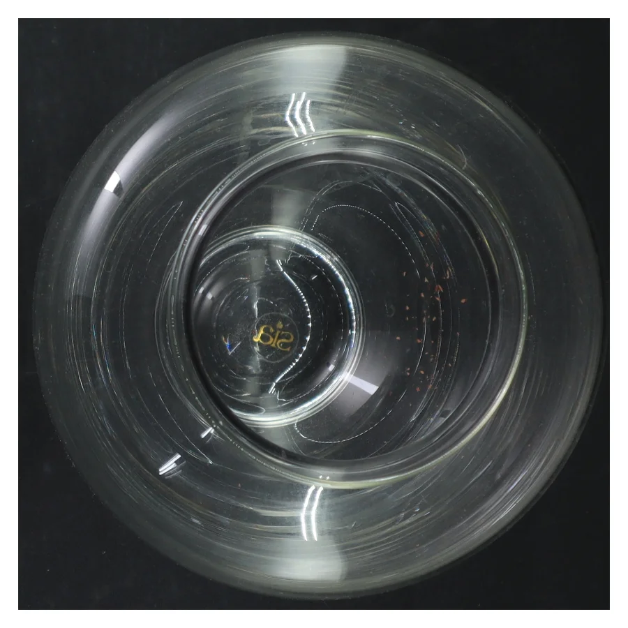 Glasvase fra Sia (str. 20. x. 13 cm)