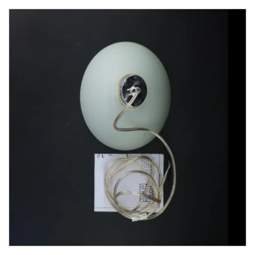 Moderne glas pendellampe fra Halo Tech Design (str. Ø 19,5 cm)