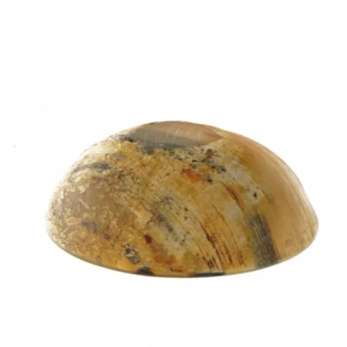 Dekorativ skål i ravfarvet glas (str. Ø 21x7 cm)