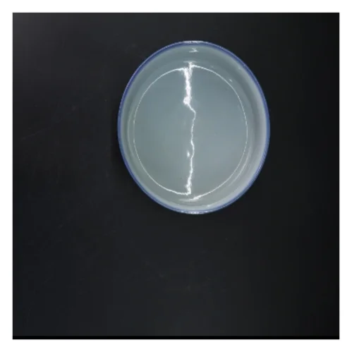 Hvid keramisk skål med blå kant (str. Ø 20,5 cm)