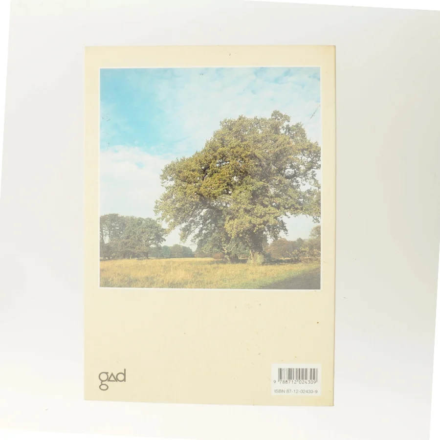 Steen Eiler Rasmussens København : et bysamfunds særpræg og udvikling gennem tiderne af Steen Eiler Rasmussen (f. 1898) (Bog)