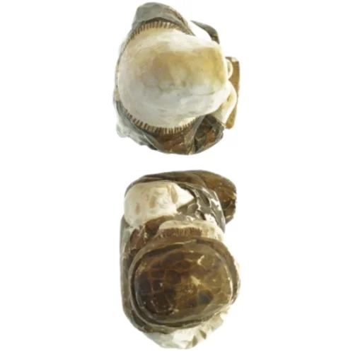 Træfigurer af mand og kvinde, 20 cm (str. 20 cm)