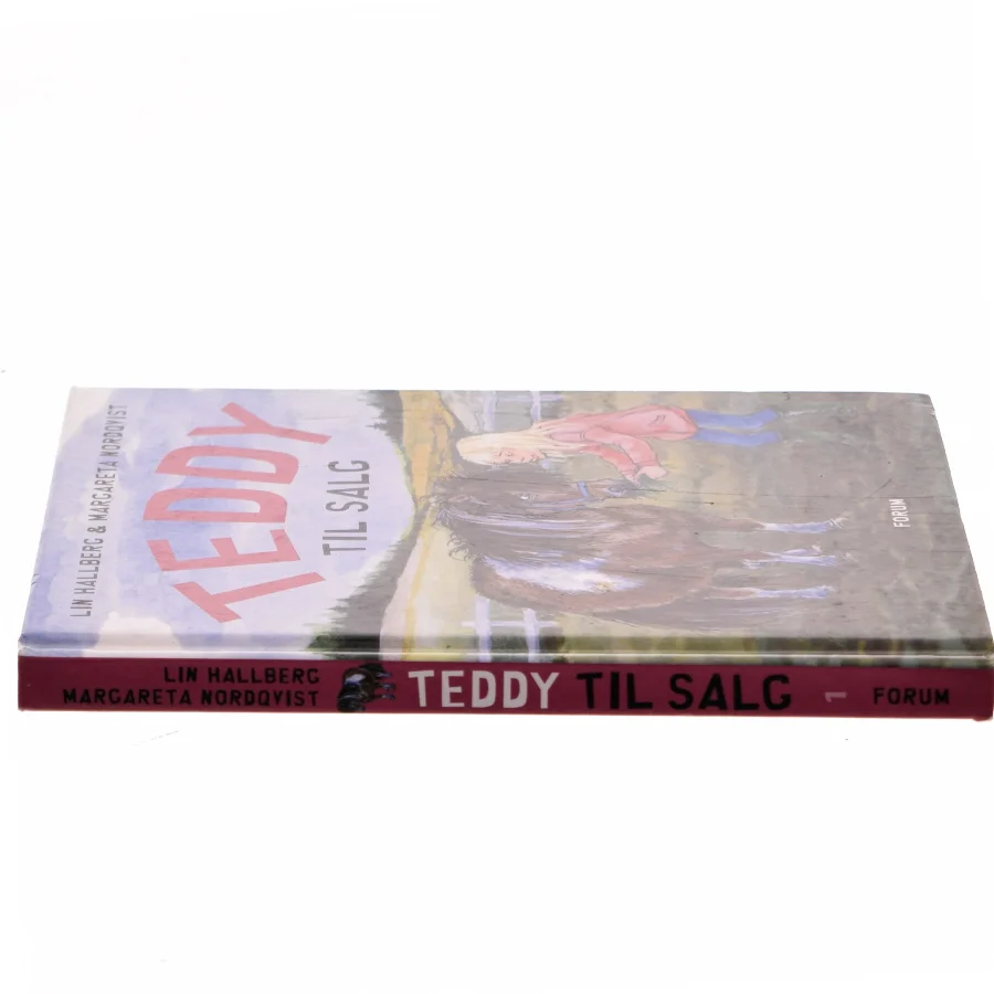 Teddy i huset af Lin Hallberg (Bog)