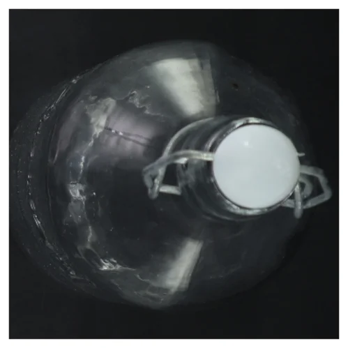 Glasflaske med patentlukning (str. 28 cm)