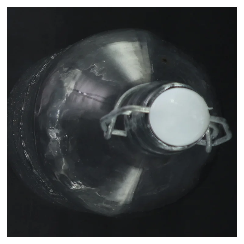 Glasflaske med patentlukning (str. 28 cm)