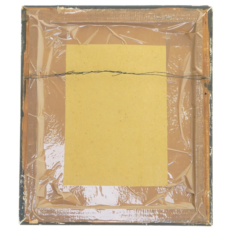 Dartmouth Steam Railway billede med ramme (str. 29x25,5 cm)