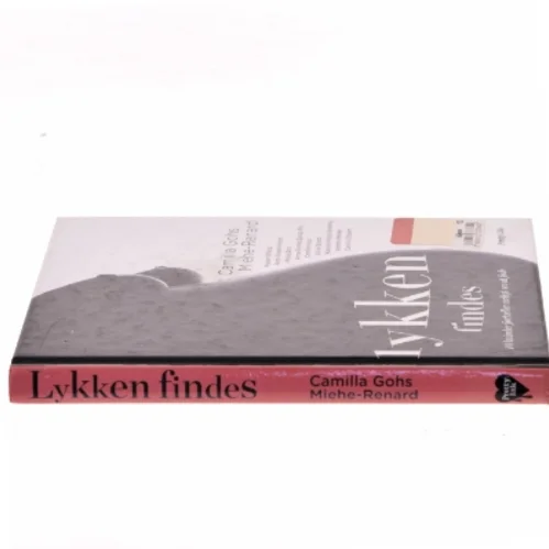Lykken findes : 10 kvinder fortæller ærligt om at føde (Bog)