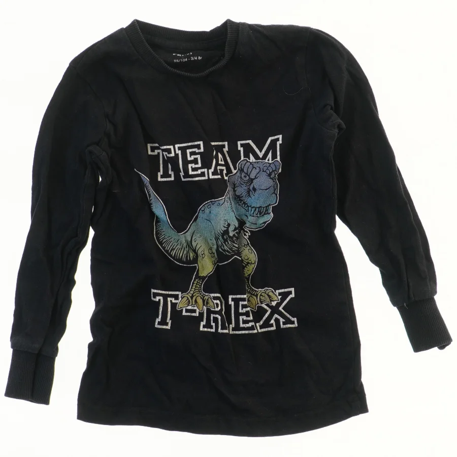 Langærmet T-shirt med dinosaurprint fra Friends (str. 98)