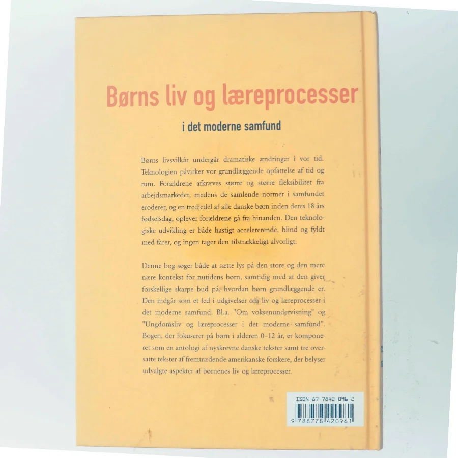 Børns liv og læreprocesser i det moderne samfund (Bog)