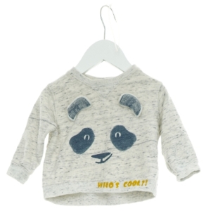 Sweatshirt fra Zara (str. 74 cm)