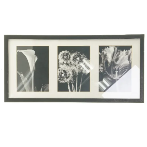 Sort billedramme med blomsterbilleder (str. 25,5x52,5 cm)