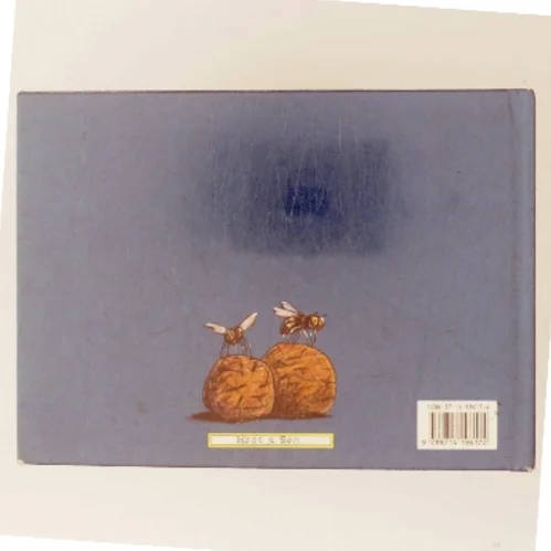 Mysteriet om smaradøjet (Bog)