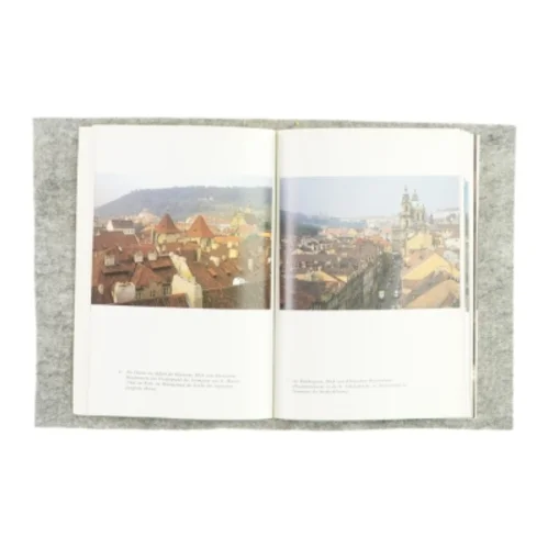 Prag' Kleinseite af Mojmír Horyna (bog)