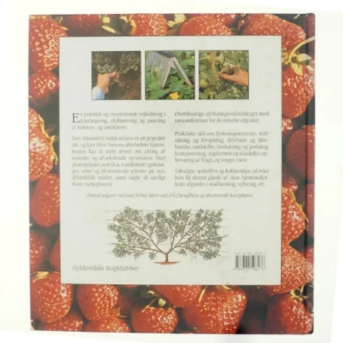 Køkken- & urtehaven af Anna Pavord (Bog)