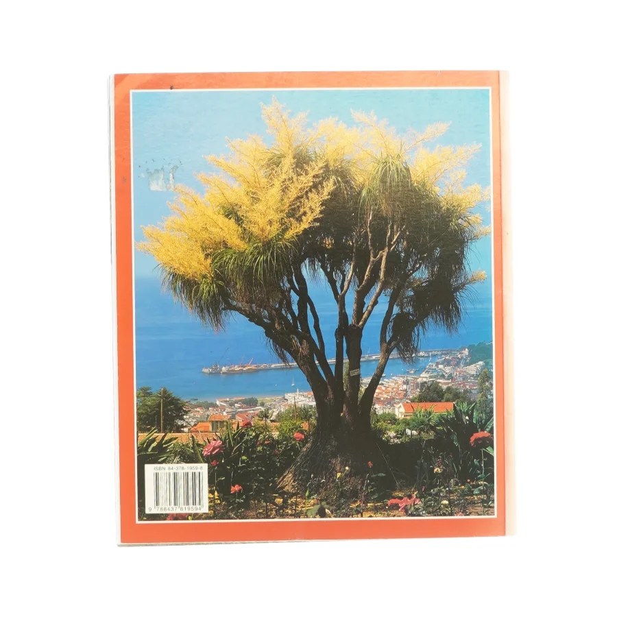 Maderia + Porto Santo (Bog)