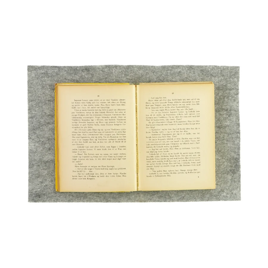 Tvillingerne og Sniffi af Birgitta Bohman (Bog)