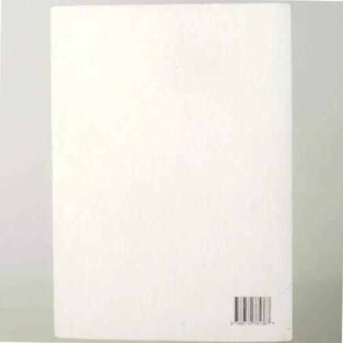 IP-2: supplerende noter i funktionsprogrammering (Bog)