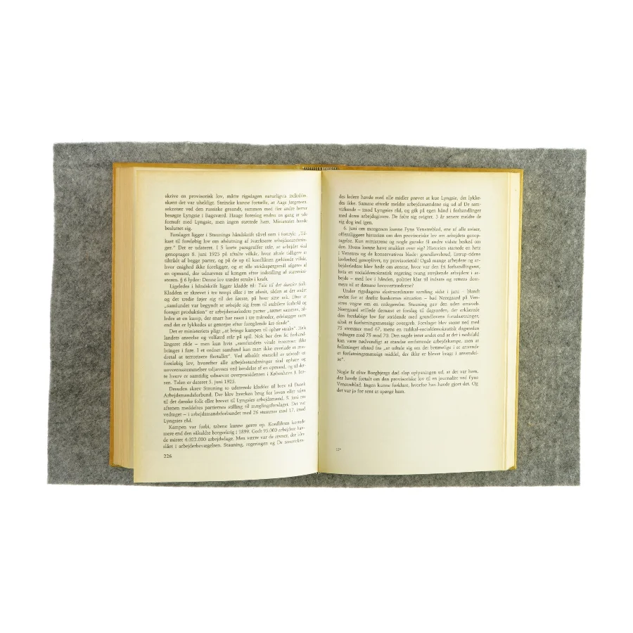 Stauning af Hans Lyngby Jepsen (Bog)