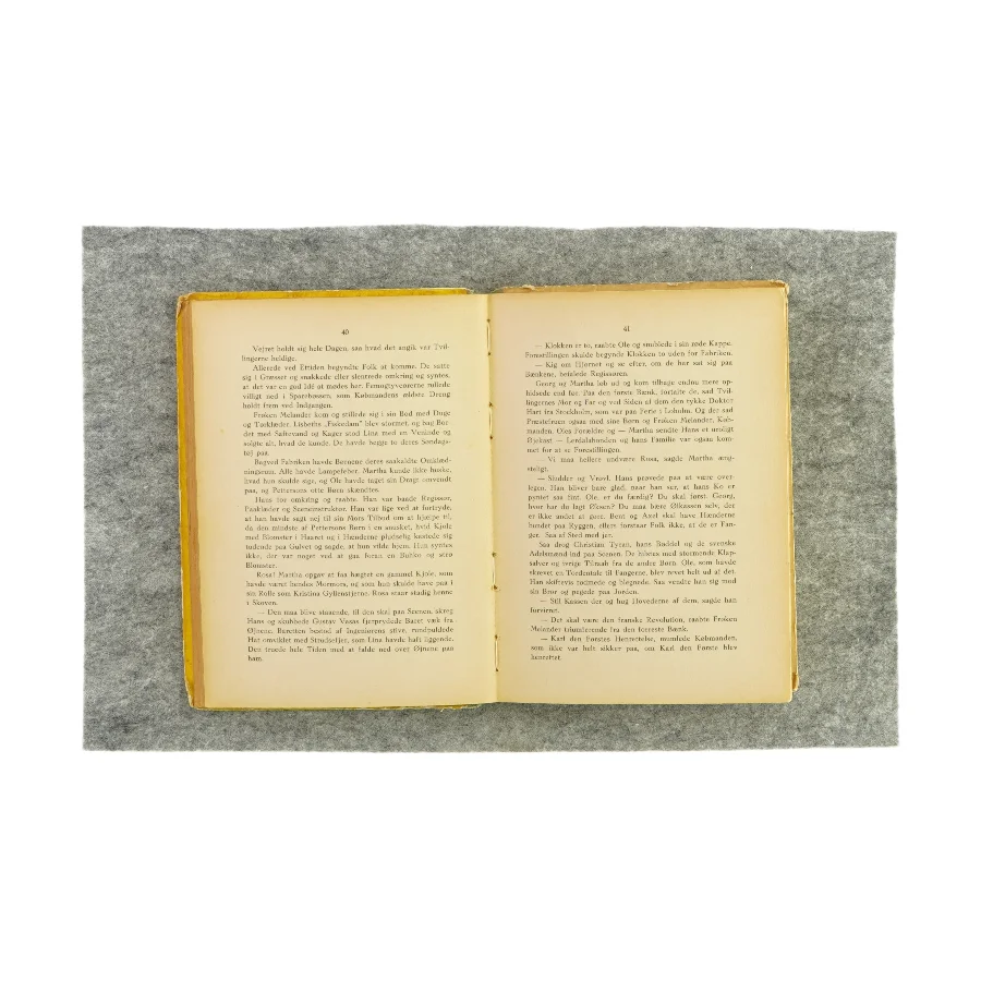 Tvillingerne paa Loholm af Birgitta Bohman (Bog)