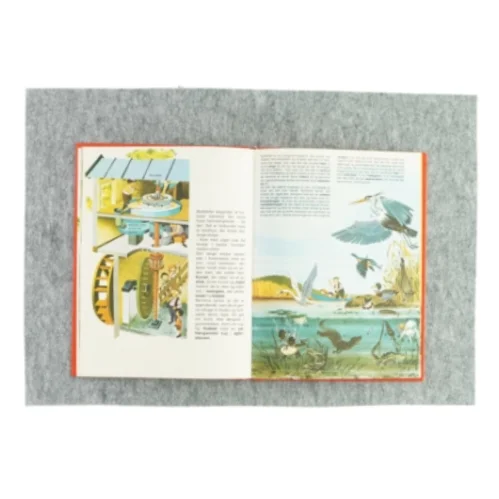 Hvad kan man opleve på floden? (bog)