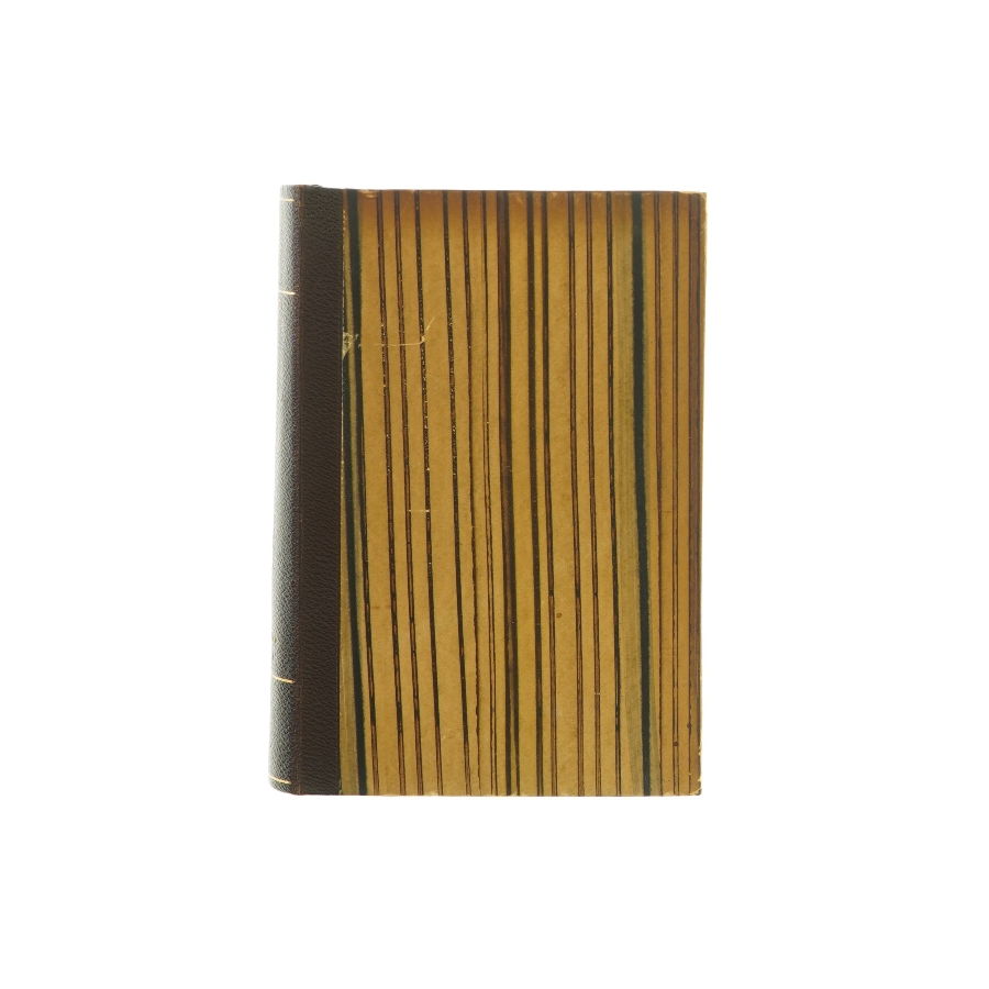 Borte med blæsten af Margaret Mitchell (Bog)