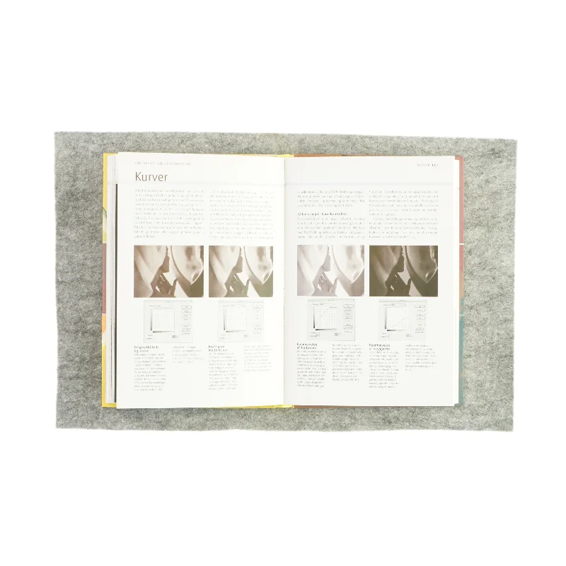 Guide til digital foto af Tom Ang (Bog)