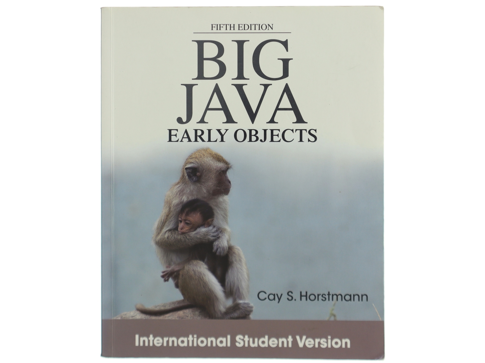 Big Java : Early objects af Cay S. Horstmann (Bog)