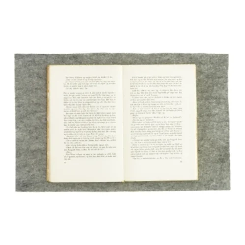 Pigen Jeeney af Iris Dornfeld (Bog)