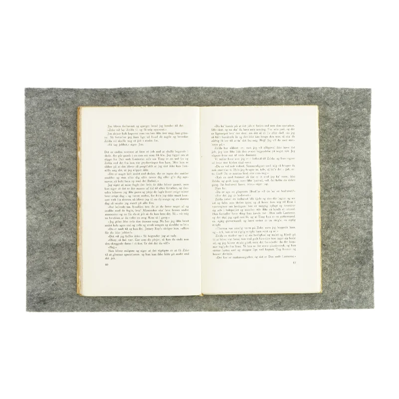 Pigen Jeeney af Iris Dornfeld (Bog)