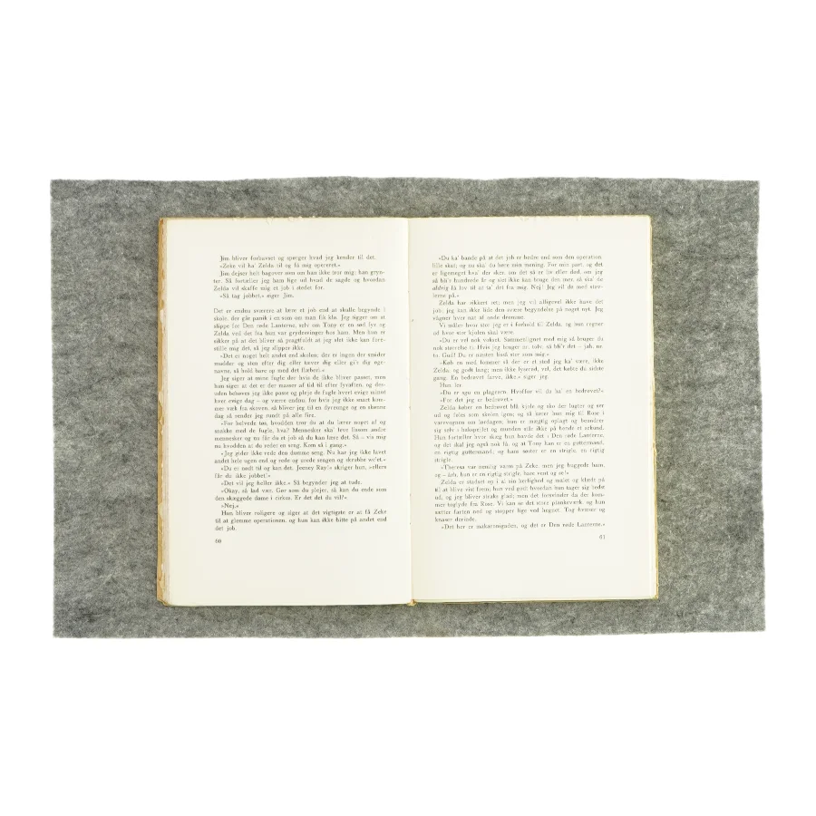 Pigen Jeeney af Iris Dornfeld (Bog)