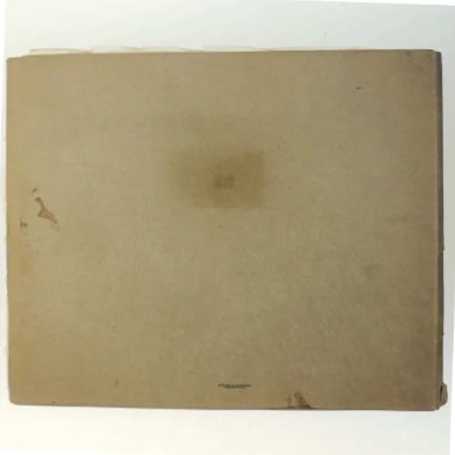 'Vor Tids Vidundere' bog