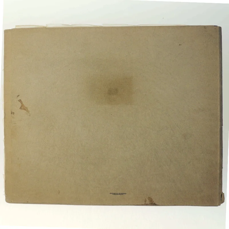 'Vor Tids Vidundere' bog