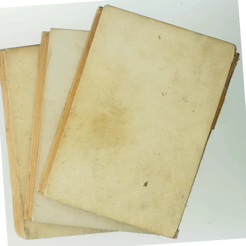 Anne Lise af Ingeborg Vollquartz (Bog)