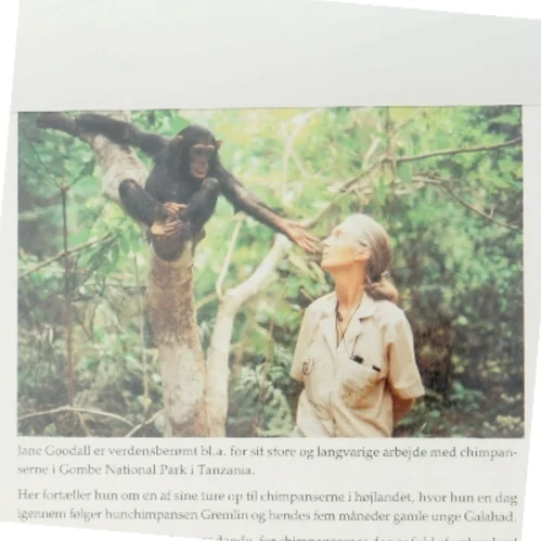 Chimpansefamilien af Jane Goodall (Bog)