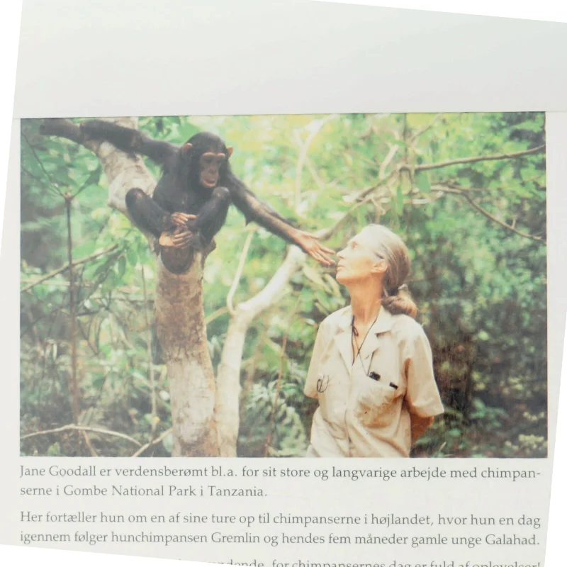 Chimpansefamilien af Jane Goodall (Bog)