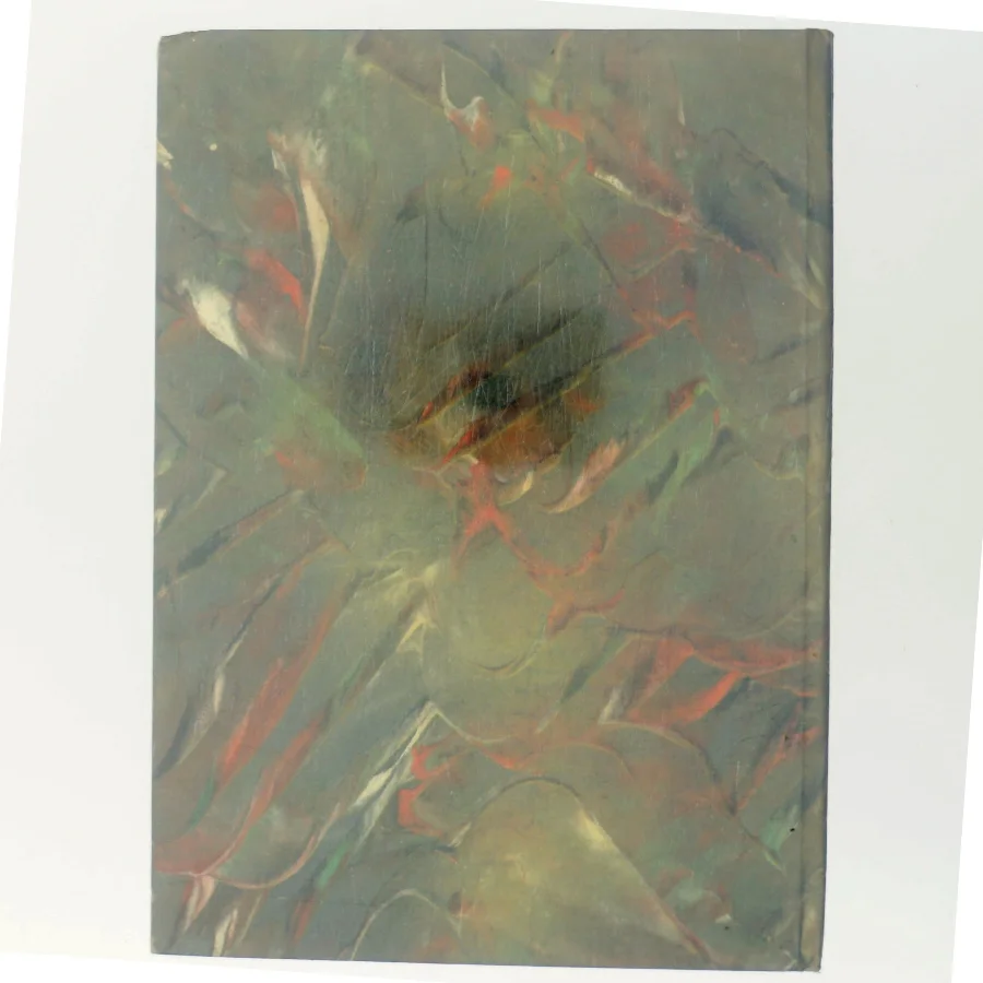 Billedbog uden billeder af H. C. Andersen (Bog)