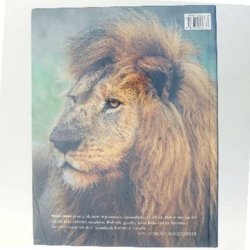 Simba : børnenes bog om Afrikas vilde dyr (Bog)