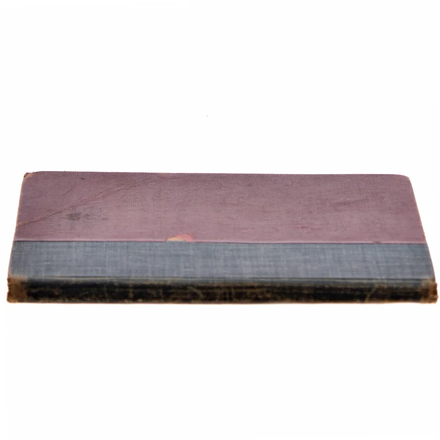 Børnenes Fædrelandes Historie af John Otoshi (Bog)