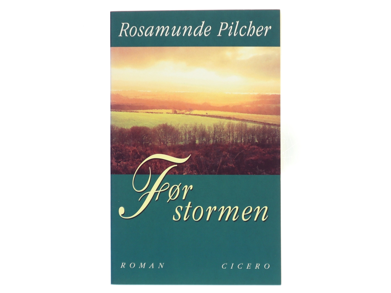 Før stormen af Rosamunde Pilcher (Bog)