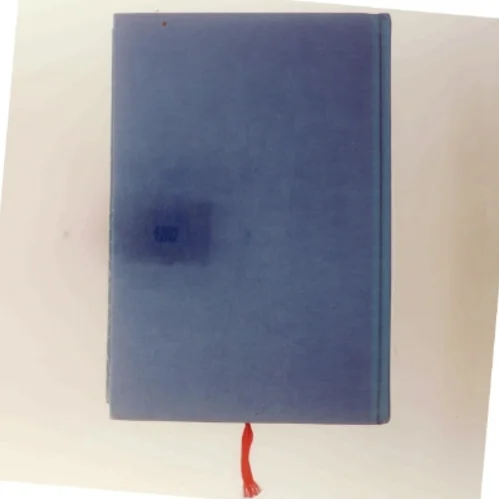 Som Pesten af Hanne-Vibeke Holst (Bog)