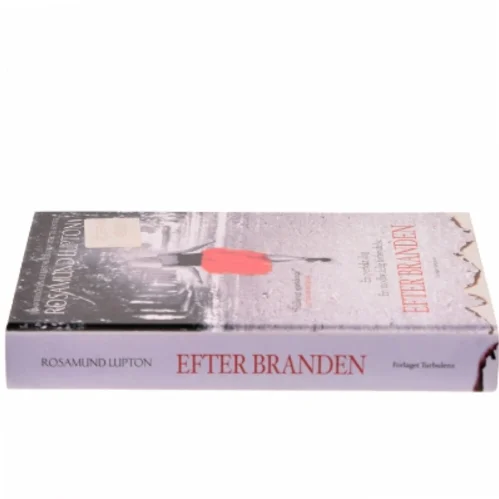 Efter branden af Rosamund Lupton (Bog)