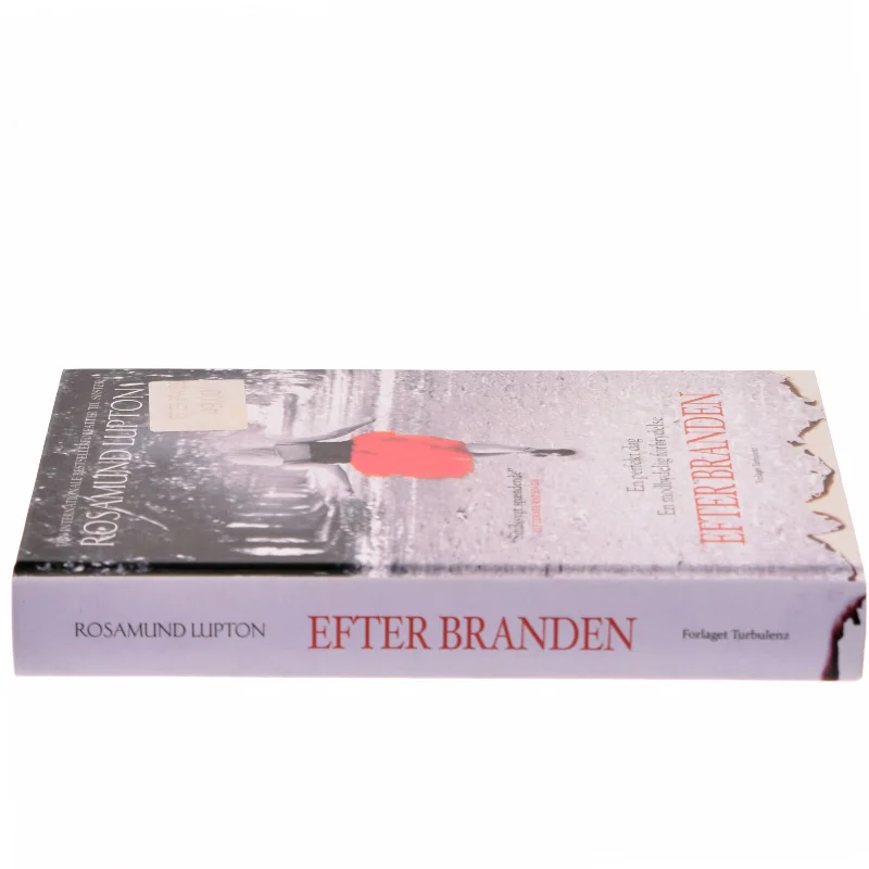 Efter branden af Rosamund Lupton (Bog)